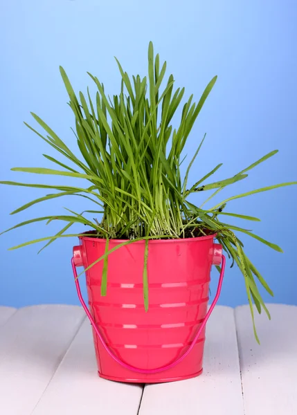 Zelené trávě v kbelíku na dřevěný stůl na modrém pozadí — Stock fotografie