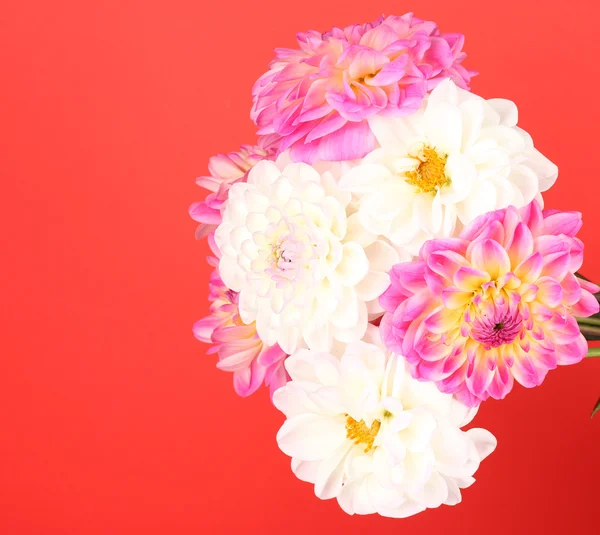 Букет з квітів на кольоровому фоні — стокове фото