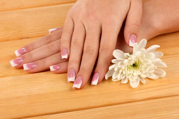 Mãos de mulher com manicure francês e flor em fundo de madeira — Fotografia de Stock