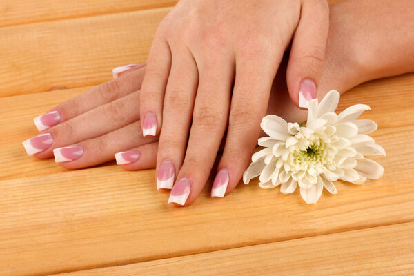 Woman hands with french manicure and flower on wooden background