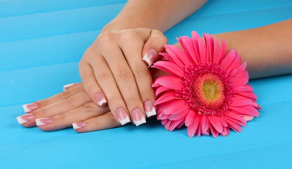 Vrouw handen met Frans manicure en bloem op blauwe houten achtergrond — Stockfoto
