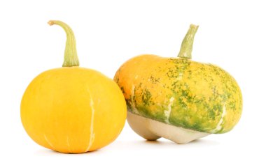 iki balkabağı beyaz izole