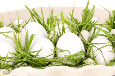 çevre dostu yumurta kutusu yakın çekim