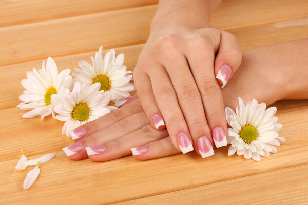 Woman hands with french manicure and flowers on wooden background