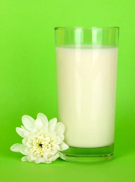 Glass of fresh new milk with white flower on green background — Stock Photo, Image