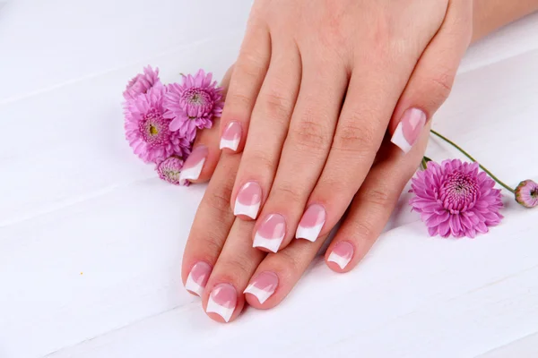 Woman hands with french manicure and flowers on white wooden background Stock Image