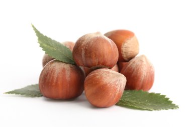 yapraklarla üzerine beyaz izole lezzetli fındık