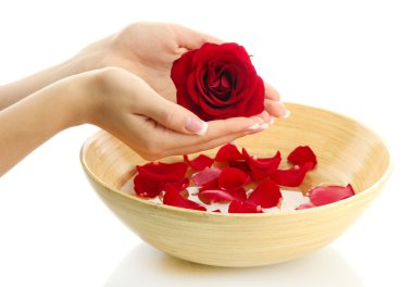 ahşap kase su yaprakları, üzerinde beyaz izole kadın elle