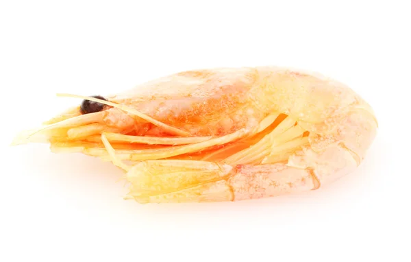 Boiled shrimp isolated on white — Stock Photo, Image