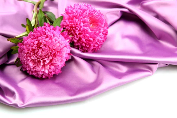 Krásný aster květiny, na hedvábné pozadí — Stock fotografie