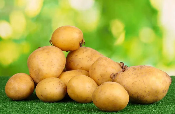 Zralé brambory na trávě na přírodní pozadí — Stock fotografie
