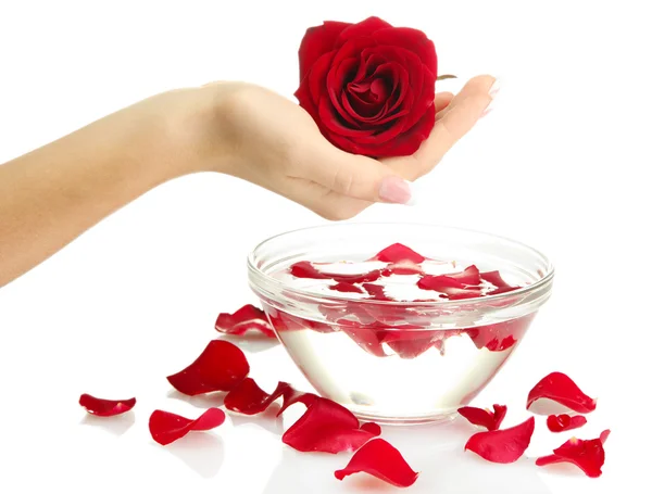 Woman hand with glass bowl of water with petals, isolated on white — Stock Photo, Image