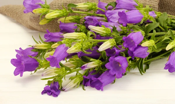 Azul sino flores e serapilheira no fundo de madeira branco — Fotografia de Stock
