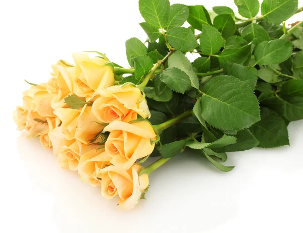 Schöner Strauß Rosen isoliert auf weiß — Stockfoto