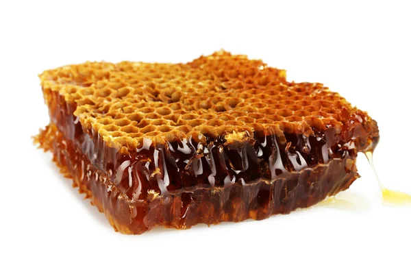 Sweet honeycomb with honey, isolated on white — Stock Photo, Image