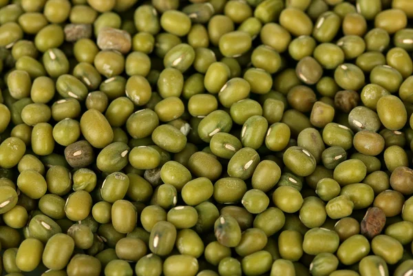 Mung beans — Stock Photo, Image