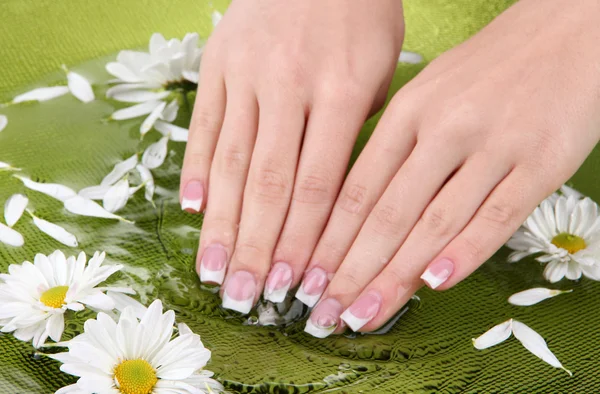 Mãos de mulher com manicure francês e flores em tigela verde com água — Fotografia de Stock