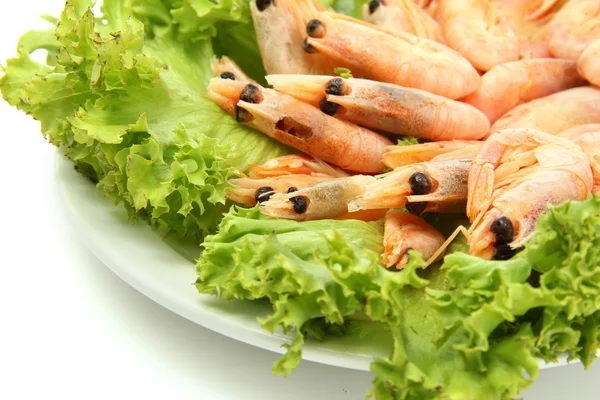 Варені креветки з листям салату на тарілці, ізольовані на білому — стокове фото