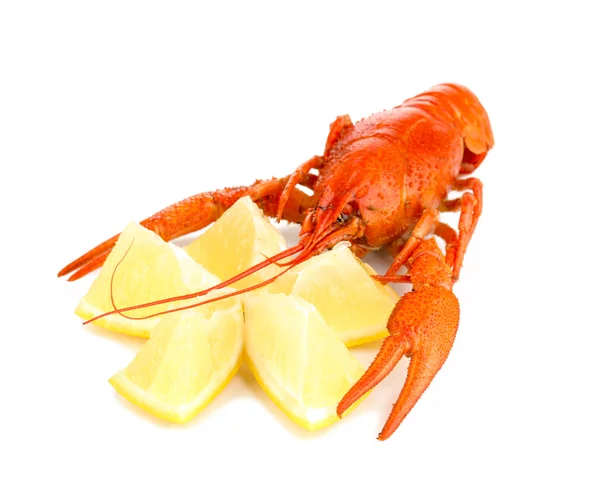 Chutné vařené krevety s citronem izolovaných na bílém — Stock fotografie