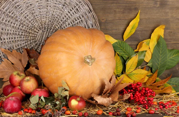 Excellent autumn still life with pumpkin on straw on wooden background — Stock Photo, Image