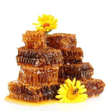 tatlı Petek Bal, arı üzerinde çiçekler, üzerinde beyaz izole