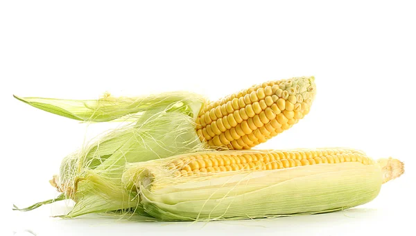 Maïs frais, isolé sur blanc — Photo