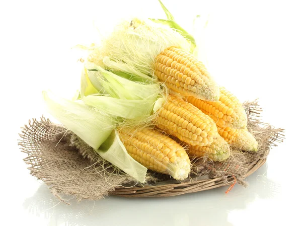 Fresh corn, isolated on white — Stock Photo, Image