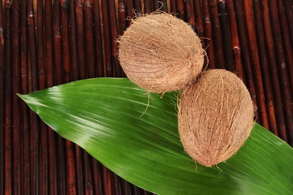 Cocos em uma esteira de bambu close-up — Fotografia de Stock