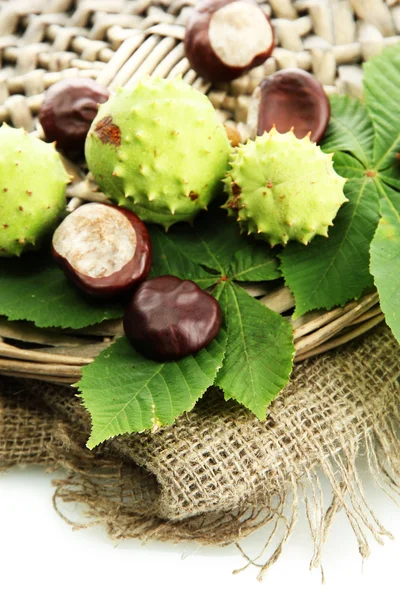 Castagne con foglie su tela, isolate su bianco — Foto Stock