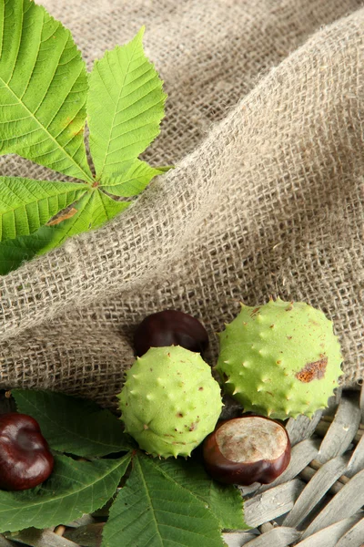 Chestnuts with leaves on burlap background — Stock Photo, Image