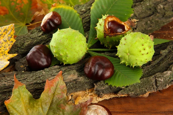 Castanhas com folhas secas de outono e casca, em fundo de madeira — Fotografia de Stock