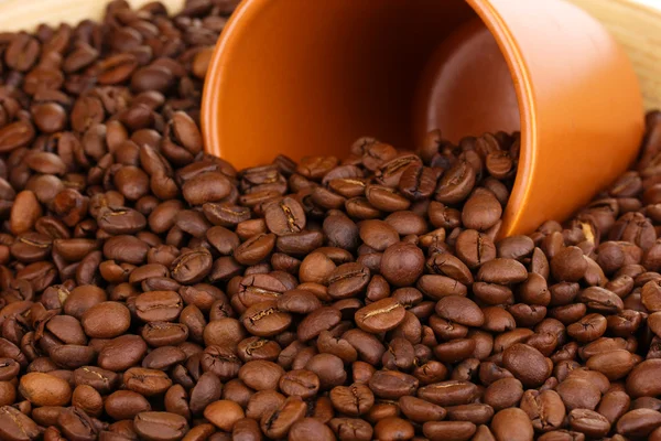 Coffee beans and cup close-up — Stock Photo, Image