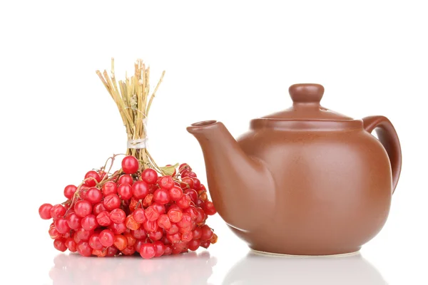 Te med röd viburnum isolerad på vit — Stock fotografie
