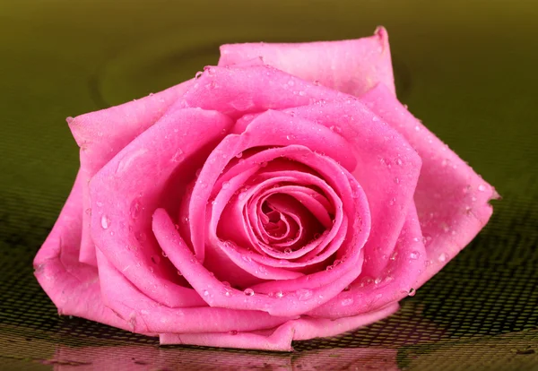 Růžová růže s kapkami na zeleném pozadí — Stock fotografie
