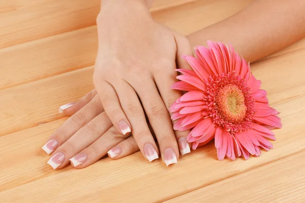 Woman hands with french manicure and flower on wooden background — Stock Photo, Image