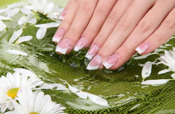 Mãos de mulher com manicure francês e flores em tigela verde com água — Fotografia de Stock