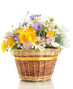 güzel beyaz izole parlak kır çiçekleri sepeti, buket