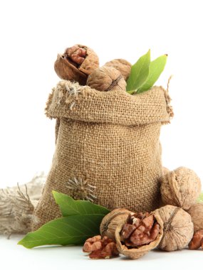 yeşil yaprakları üzerinde beyaz izole çuval bezi çanta, cevizli