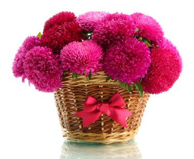 beyaz izole pembe aster çiçek sepeti,