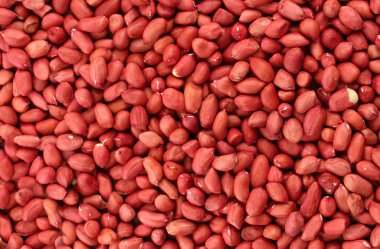 lezzetli fıstık, yakın çekim