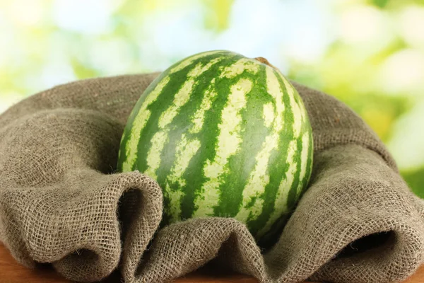 Ripe watermelon in sackcloth on green background close-up — Stock Photo, Image