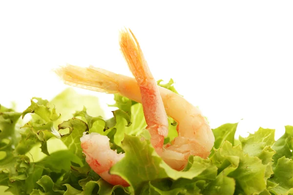 Boiled shrimps and lettuce leaf, isolated on white — Stock Photo, Image