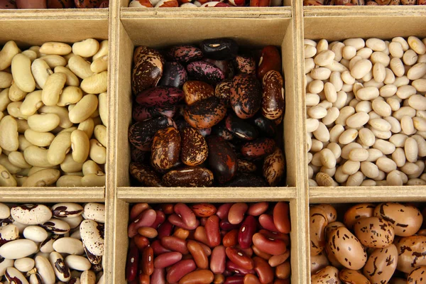 Diverse beans in wooden box sections close-up — Stock Photo, Image