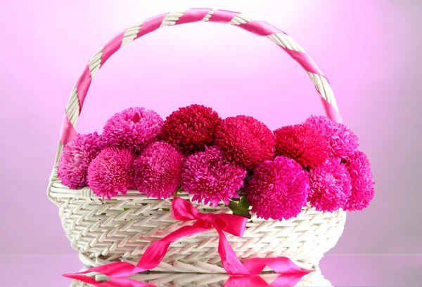 Beautiful aster flowers in basket, on pink background — Stock Photo, Image