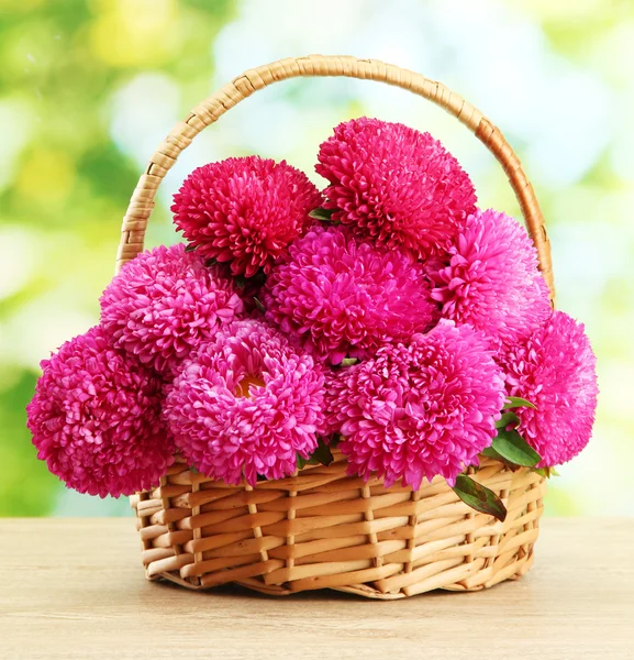 Pink aster flowers in basket on green background — Stock Photo, Image