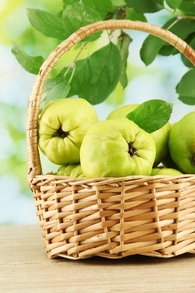 Sweet quinces with leaves in basket, on green background — Stock Photo, Image