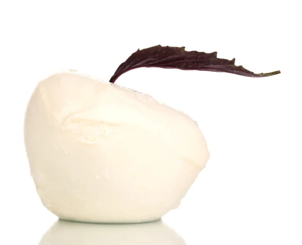 Fresh mozzarella isolated on white — Stock Photo, Image