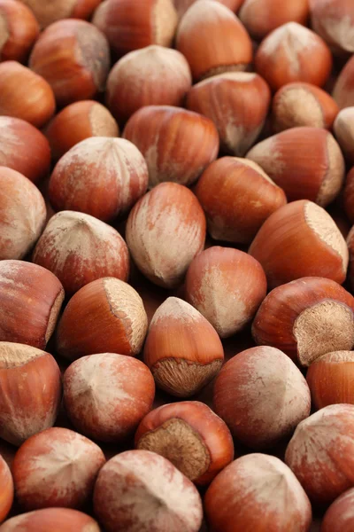 Tasty hazelnuts, close up — Stock Photo, Image