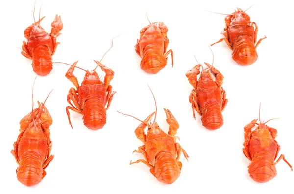 Smakelijke gekookte rivierkreeftjes op wit wordt geïsoleerd — Stockfoto