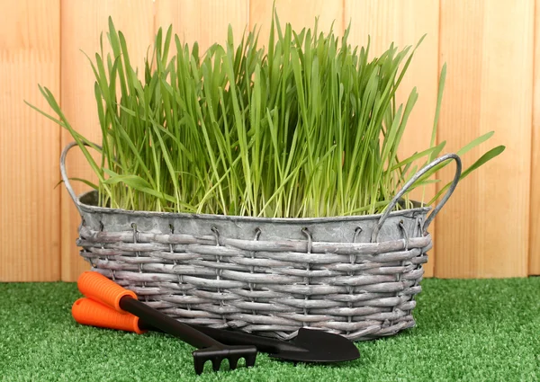 Grama verde na cesta perto da cerca — Fotografia de Stock